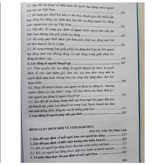 Sách - Bình luận những điểm mới của Bộ luật lao động năm 2019