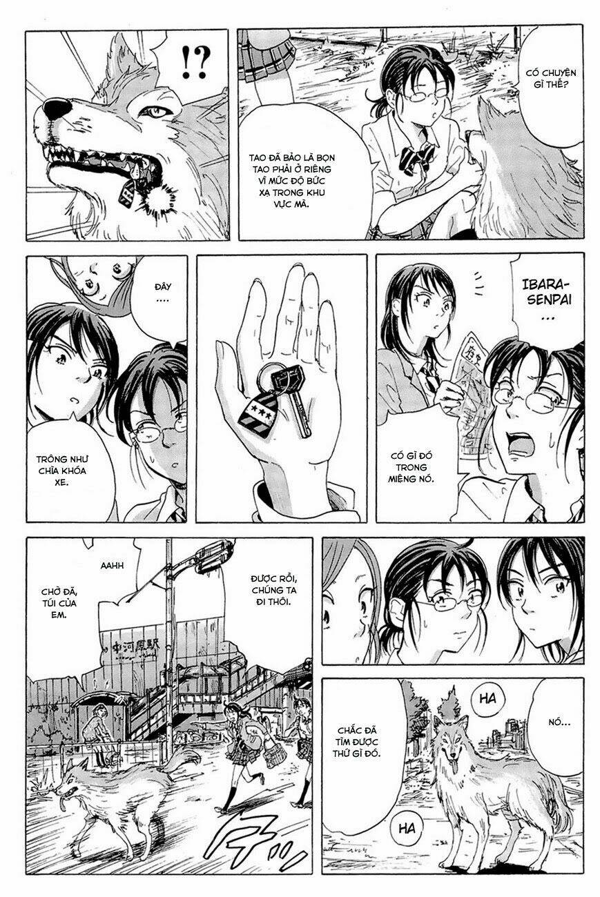 cúp quốc sư tử chapter 11 8