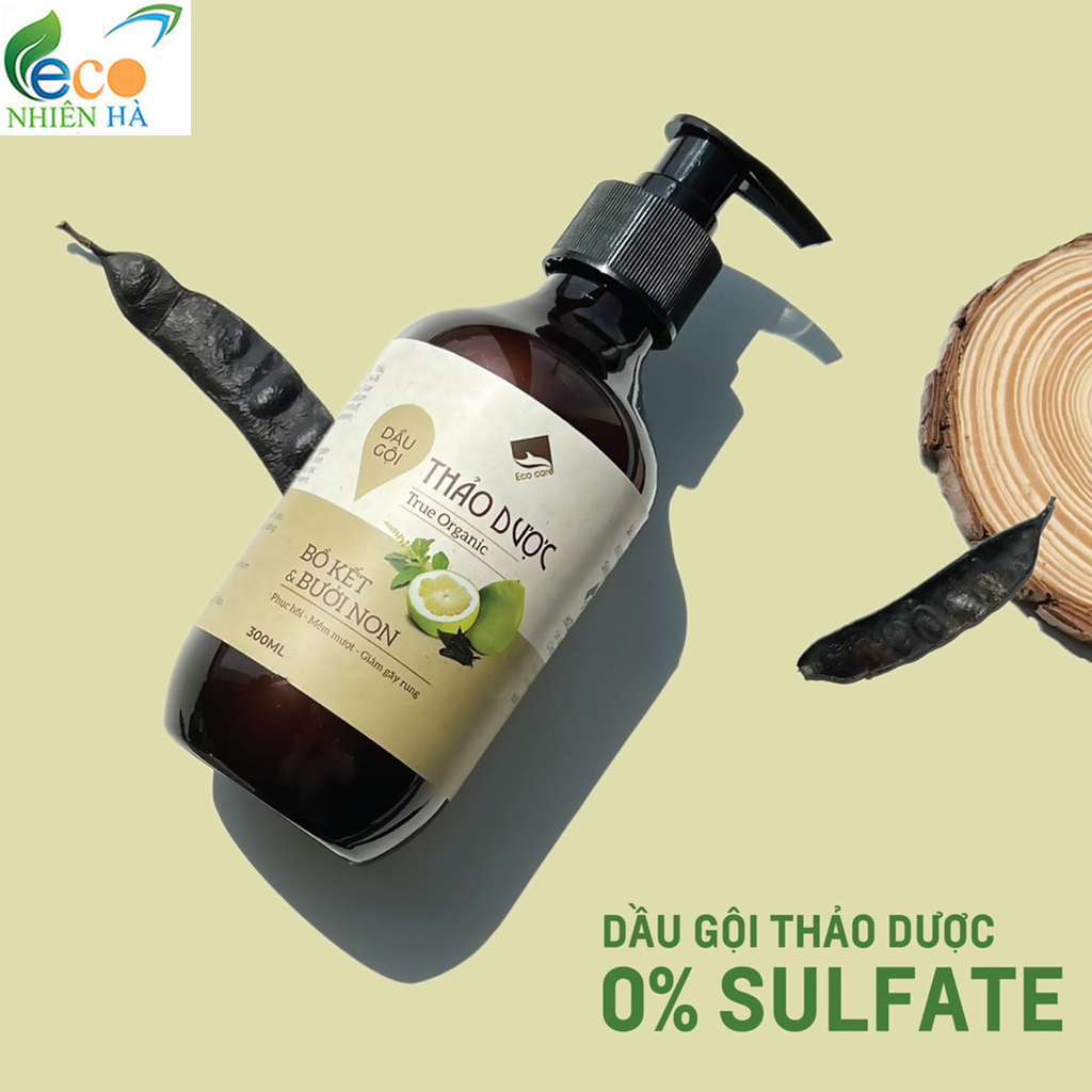 Combo dầu gội thảo dược dầu xả tóc ECOCARE 300ml, sạch gàu, suôn mượt, giảm gãy rụng