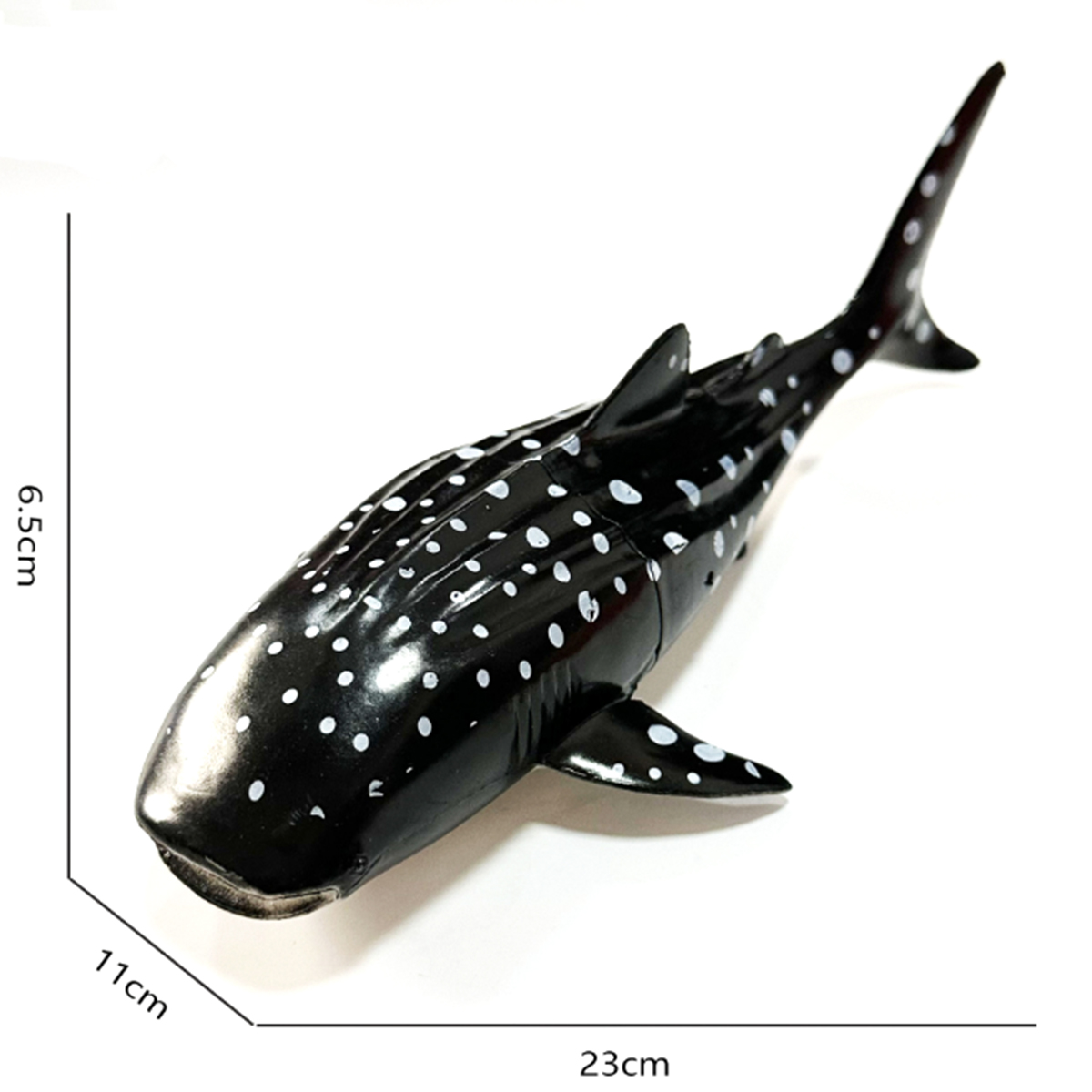 Mô hình Cá mập voi (cá nhám voi) 23x5 cm - Đồ chơi động vật biển New4all CMV1814 Rhincodon typus