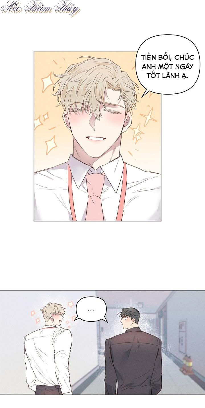 nơi tình yêu định mệnh chapter 2 1