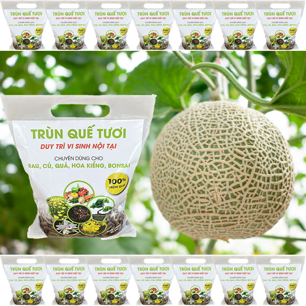 Phân Trùn Quế Tươi Nén Viên (1kg/Túi)