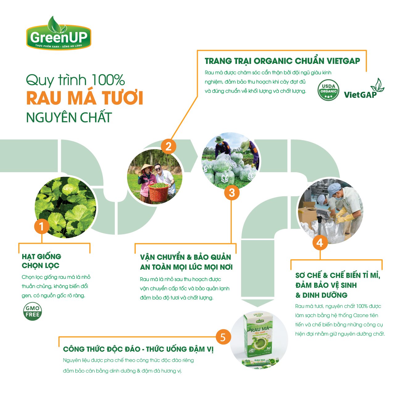 2 Gói Bột Rau Má Đậu Xanh GreenUp 3in1(18gx2) - Rau Má Uống Liền - RMDXG03