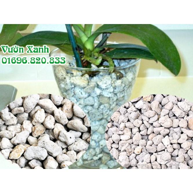 Đá bọt  nhẹ, thoáng, giữ ẩm rất tốt cho lan size 1-2 cm