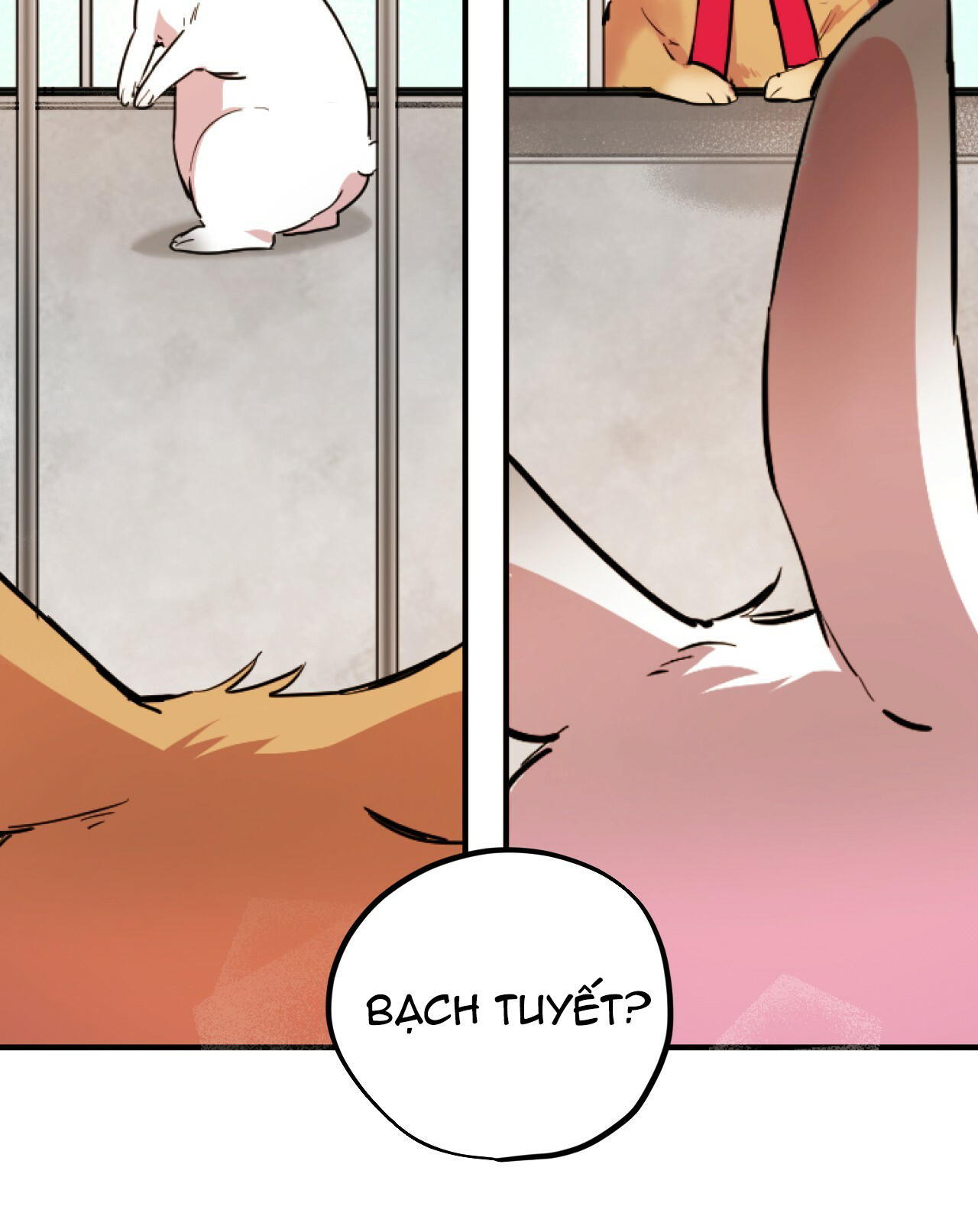 những chú thỏ của hapypy chapter 2 44