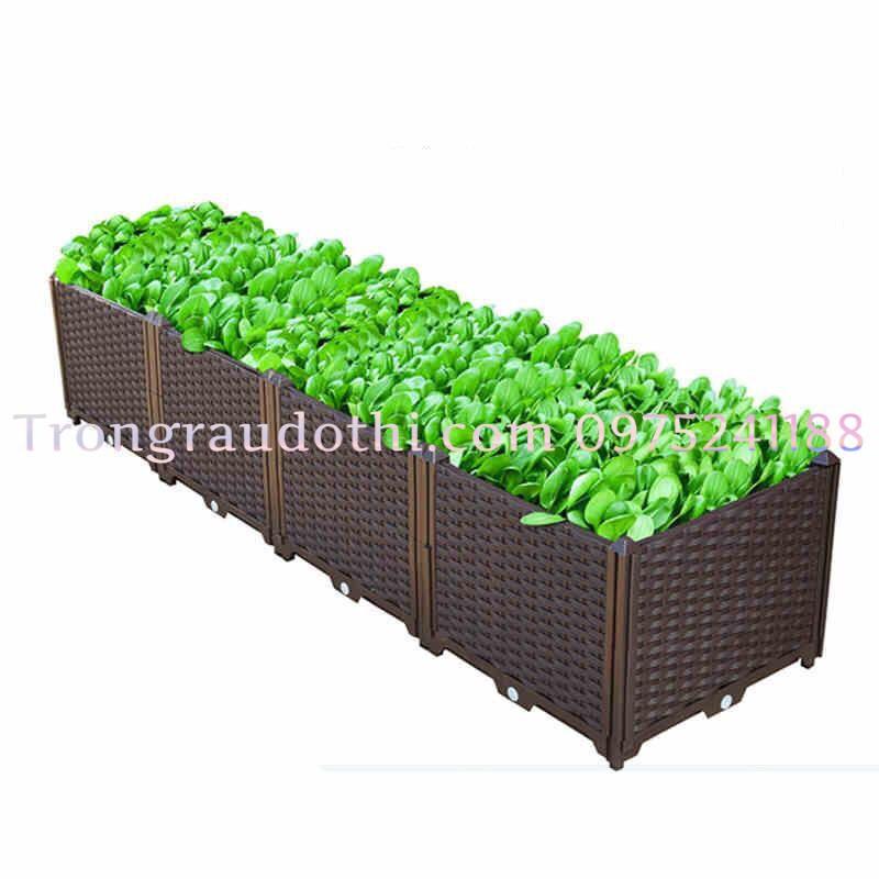 Chậu thông minh lắp ghép trồng rau sạch 120x40x22cm, đẹp, bền 5-7 năm
