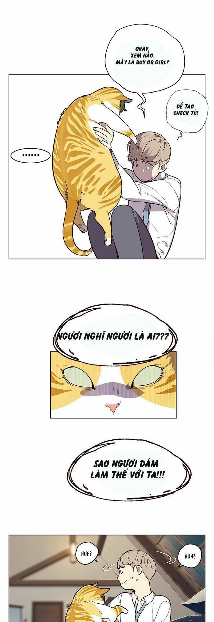 biến thân thành mèo chapter 1 36