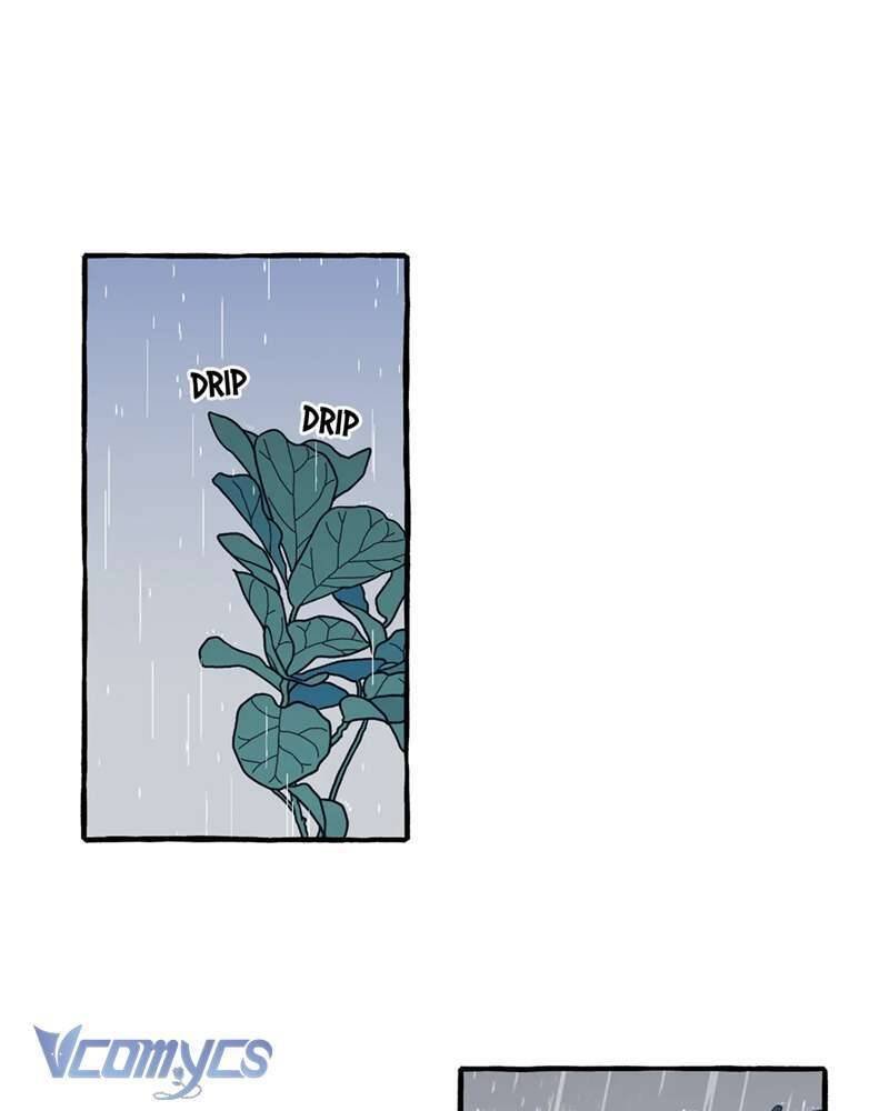 chuyện tình hoa lưu ly chapter 7 30