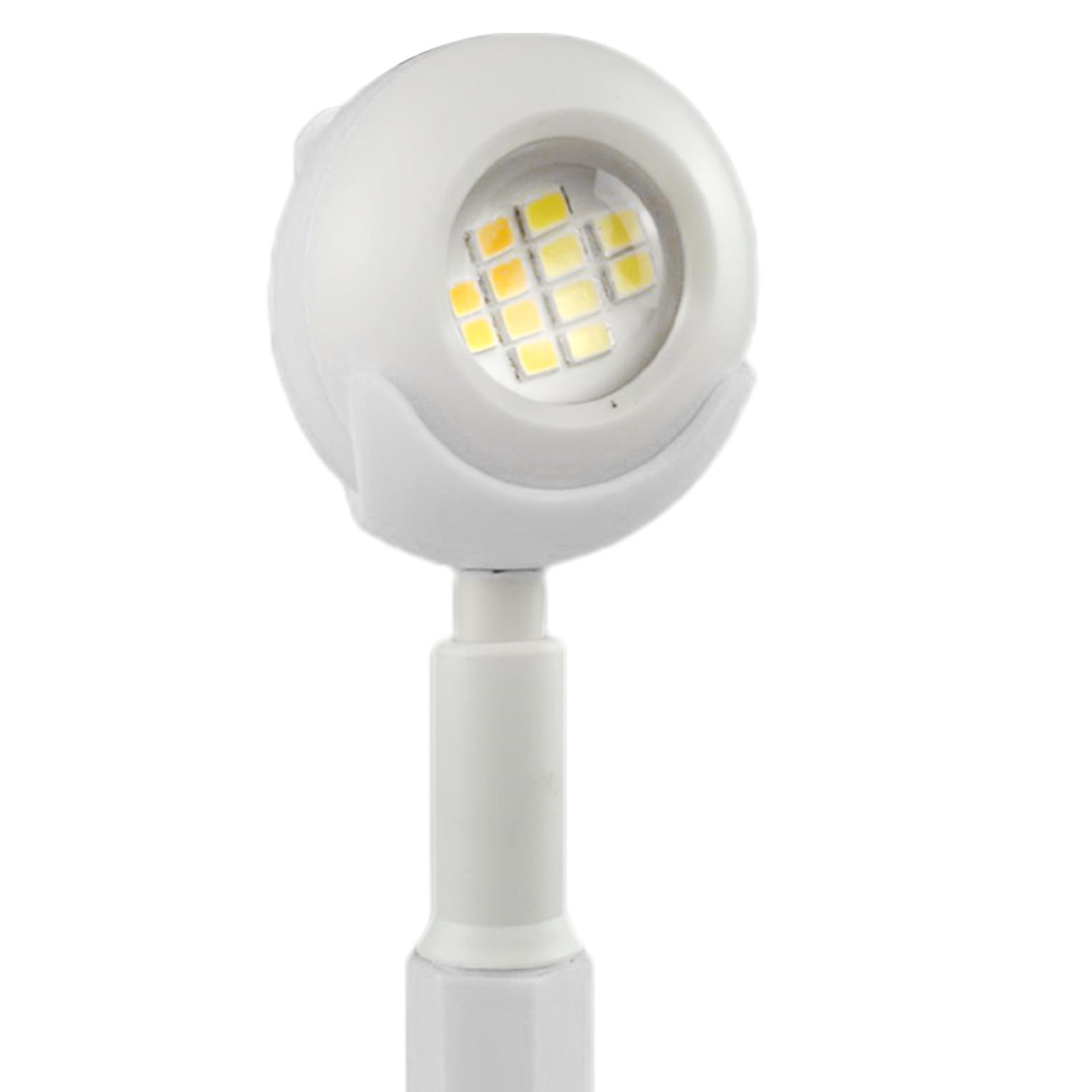 Desk Lamp Portable Table Lamp Study Desk for Bedroom Home Indoor and Outdoor