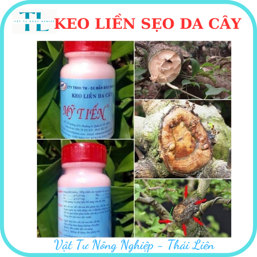 Keo Liền Da Mỹ Tiến 100ml - Keo Liền Sẹo - Phục Hồi Sẹo - Làm Lành Vết Thương - Trị Vết Thương Cây Trồng