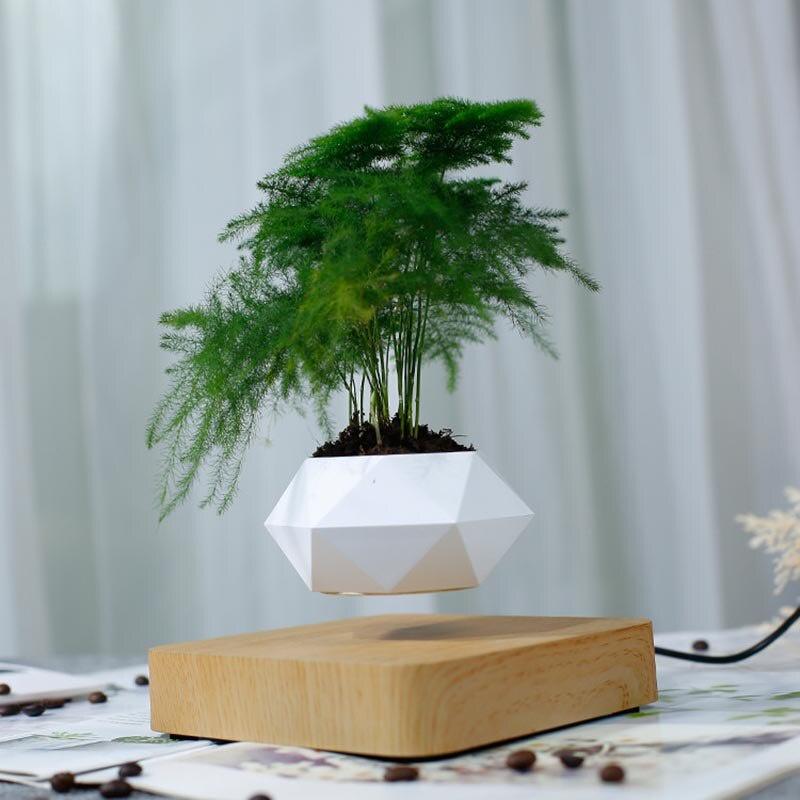Chậu cây bay trang trí từ tính BonSai Bay Zero W Design