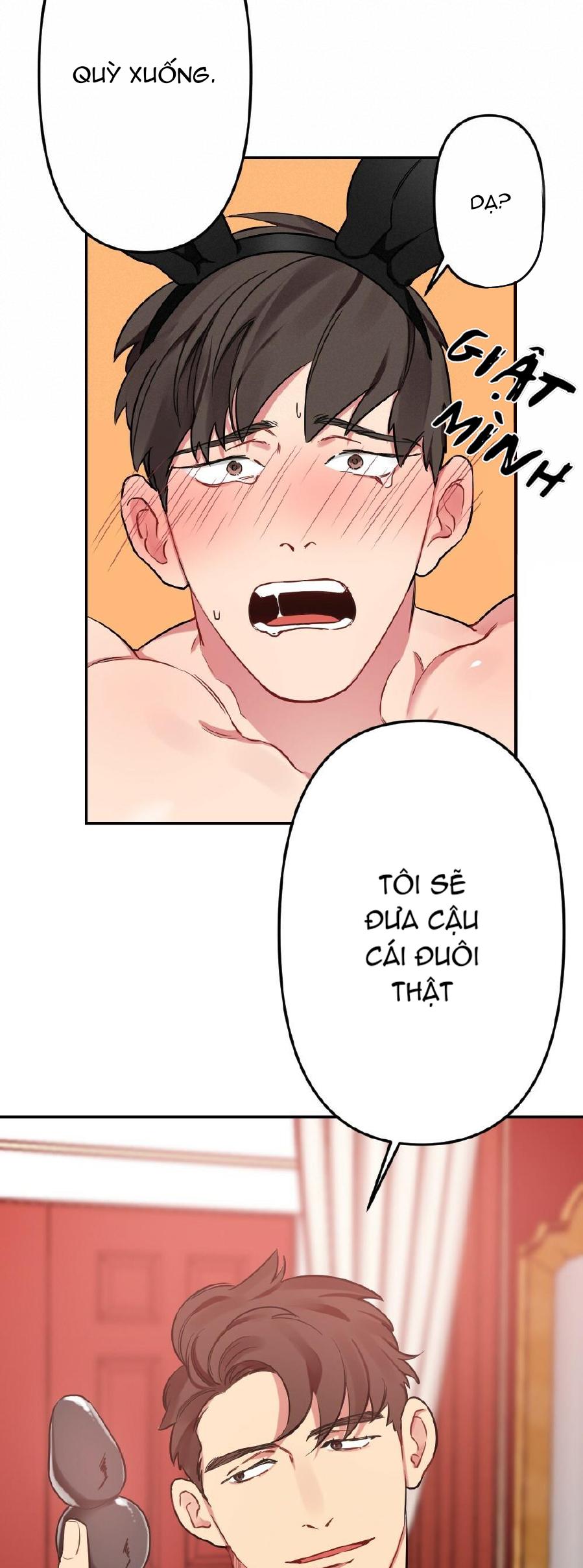 chăm sóc chapter 13 23