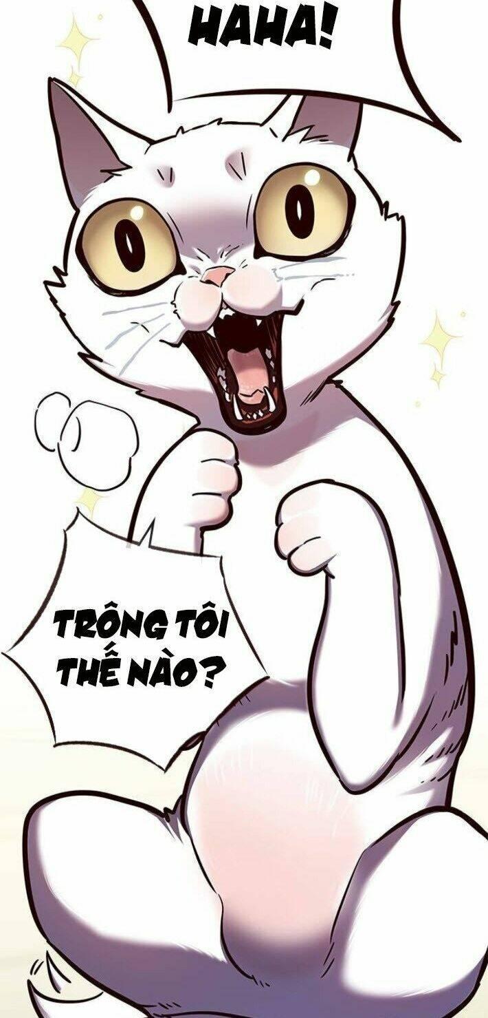 biến thân thành mèo chapter 141 65