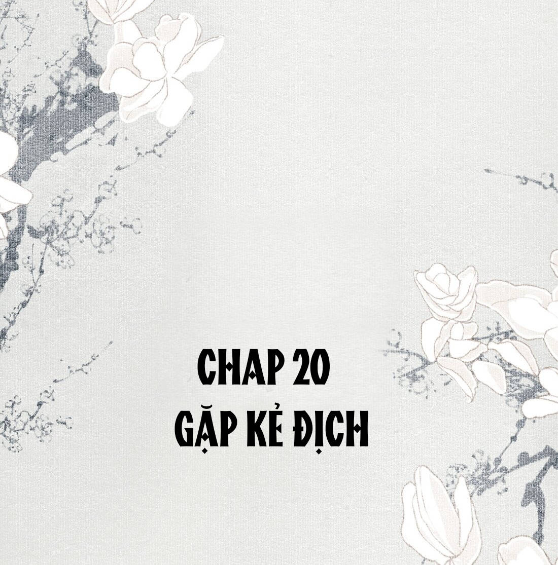 không cẩn thận cứu phải kẻ thù của giang hồ chapter 20 2