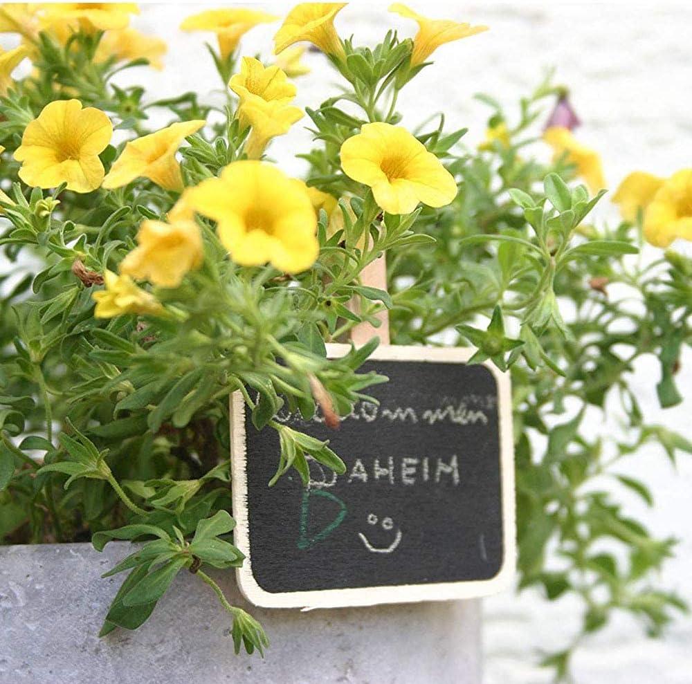 Bộ 50 bảng gỗ có kẹp, bảng nhỏ mini bảng ghi nhớ, bìa đựng ảnh bằng gỗ, làm đồ trang trí bàn, đựng thiệp, bảng tên, chậu thảo mộc, trang trí tiệc cưới