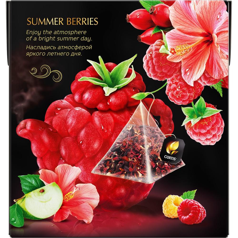 Trà Thảo Mộc Trái Cây Túi Lọc Hiệu Curtis Hương Táo, Mâm Xôi, Dâu Tây – Tea Curtis Summer Berries
