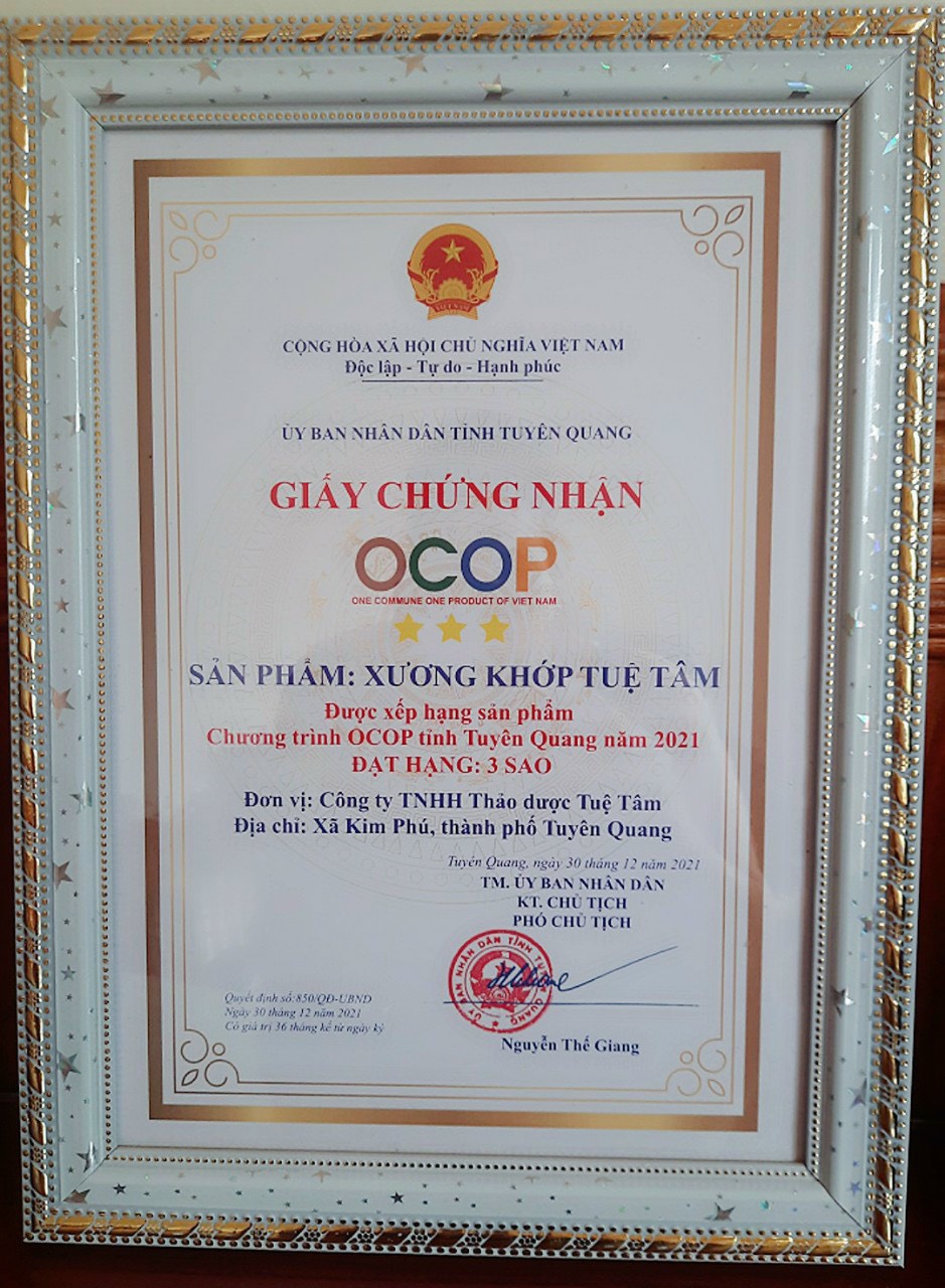Xương Khớp Tuệ Tâm hộp 60 viên nang - Thực phẩm bảo vệ sức khỏe cao cấp từ thảo dược, sản xuất tại nhà máy dược phẩm đạt chuẩn GMP