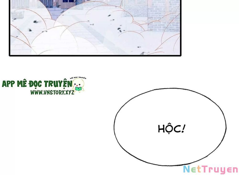 lại bị bệnh chiều chuộng quấn lấy chapter 45 61