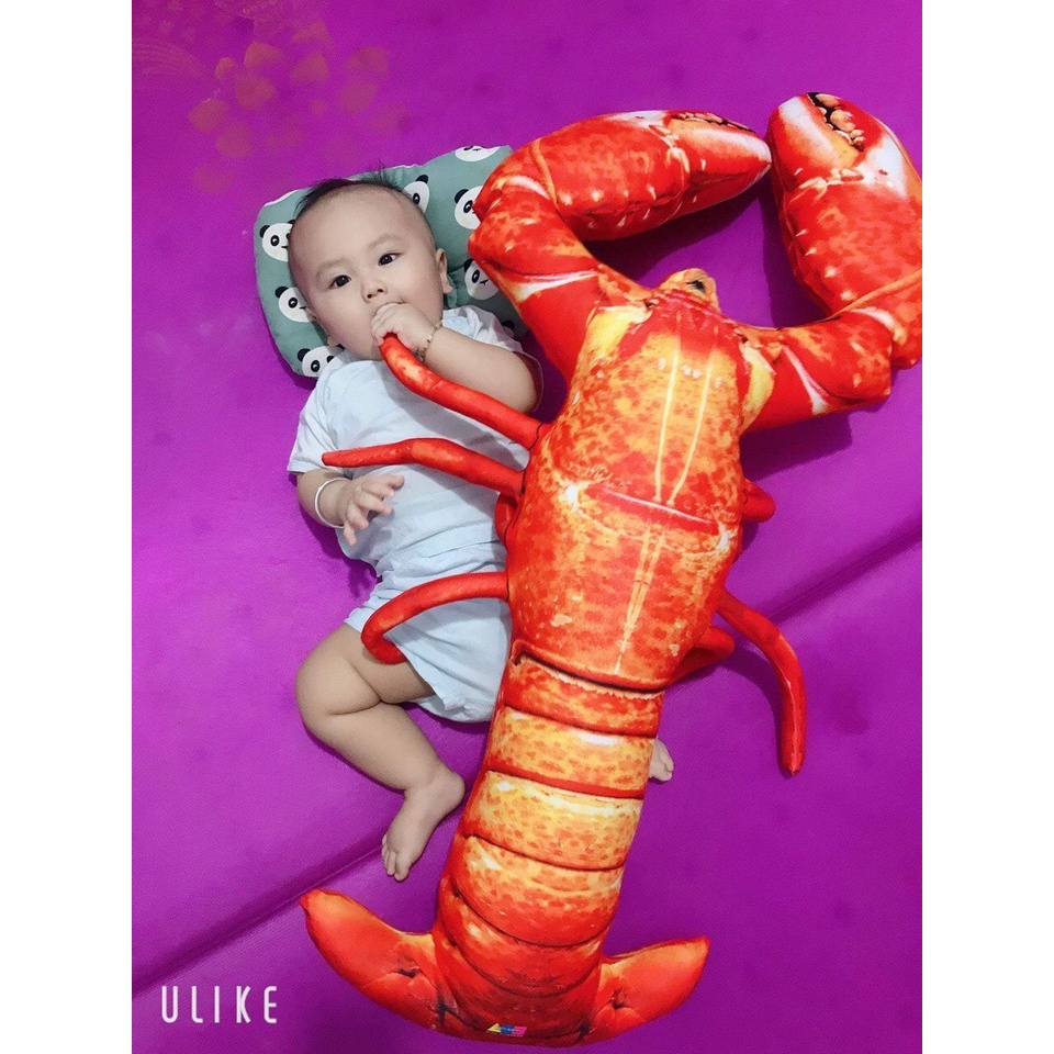 GỐI ÔM TÔM HÙM ALASKA KHỔNG LỒ [SIÊU MỊN