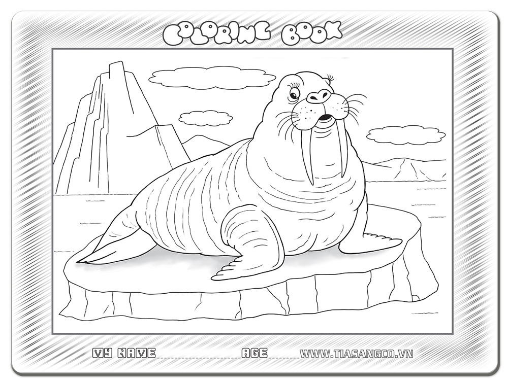 Xếp hình Tia Sáng Sư tử biển (30 Mảnh Ghép) - Tặng kèm tranh tô màu cho bé