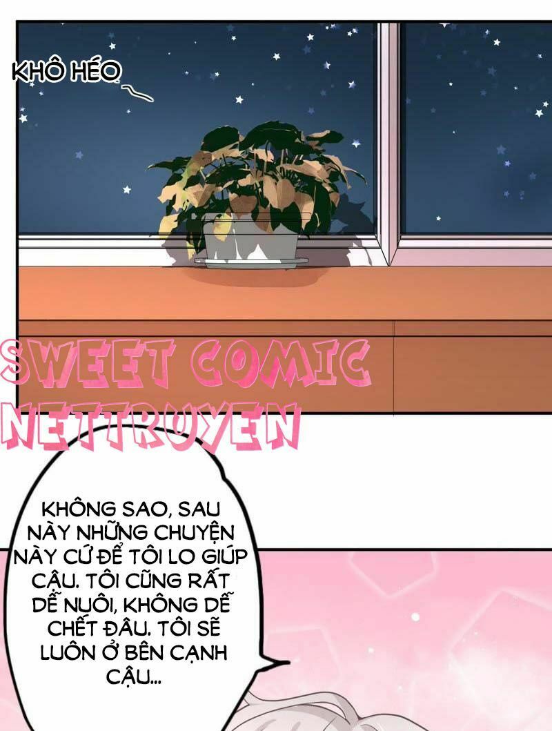 chàng trai người máy ấm áp 741 của tôi chapter 5 24