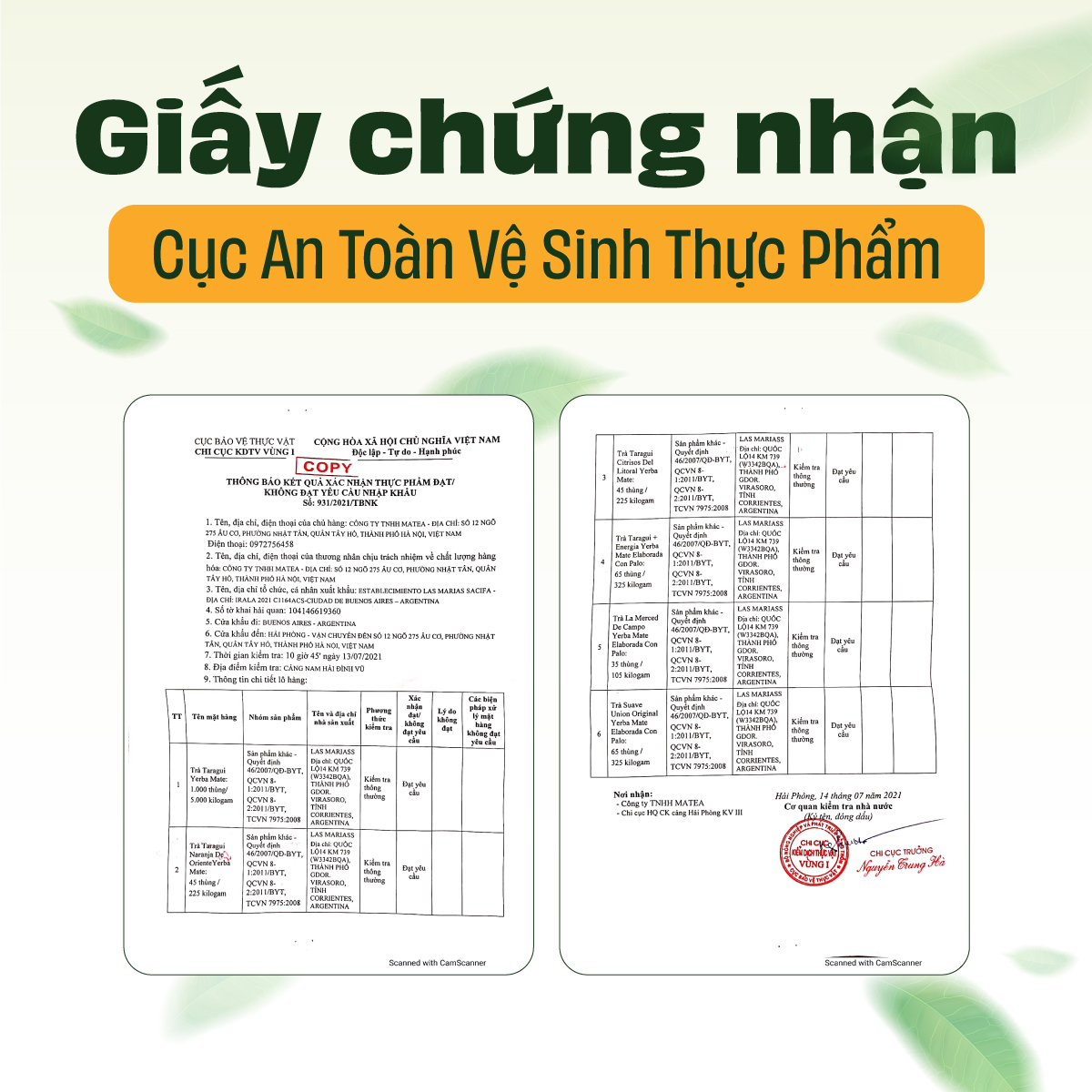 [COMBO] Trà Yerba Maté Original Túi Nhỏ 180g - Vị Truyền Thống + Bình Thủy Tinh Tiện Lợi