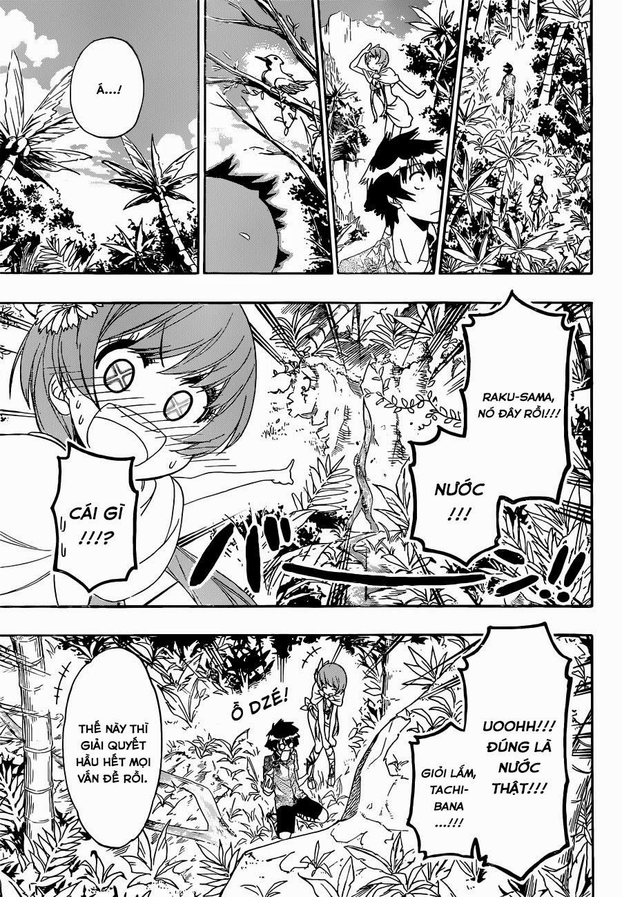 nisekoi - tình yêu giả tạo chapter 170 14