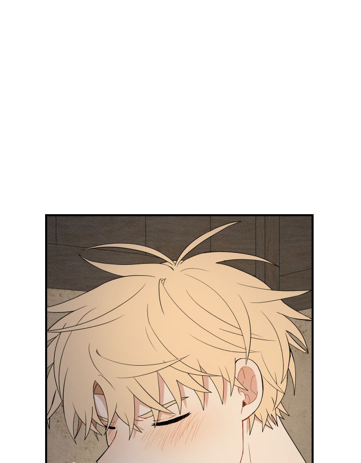 đường hoa liên kiều rơi chapter 15 65