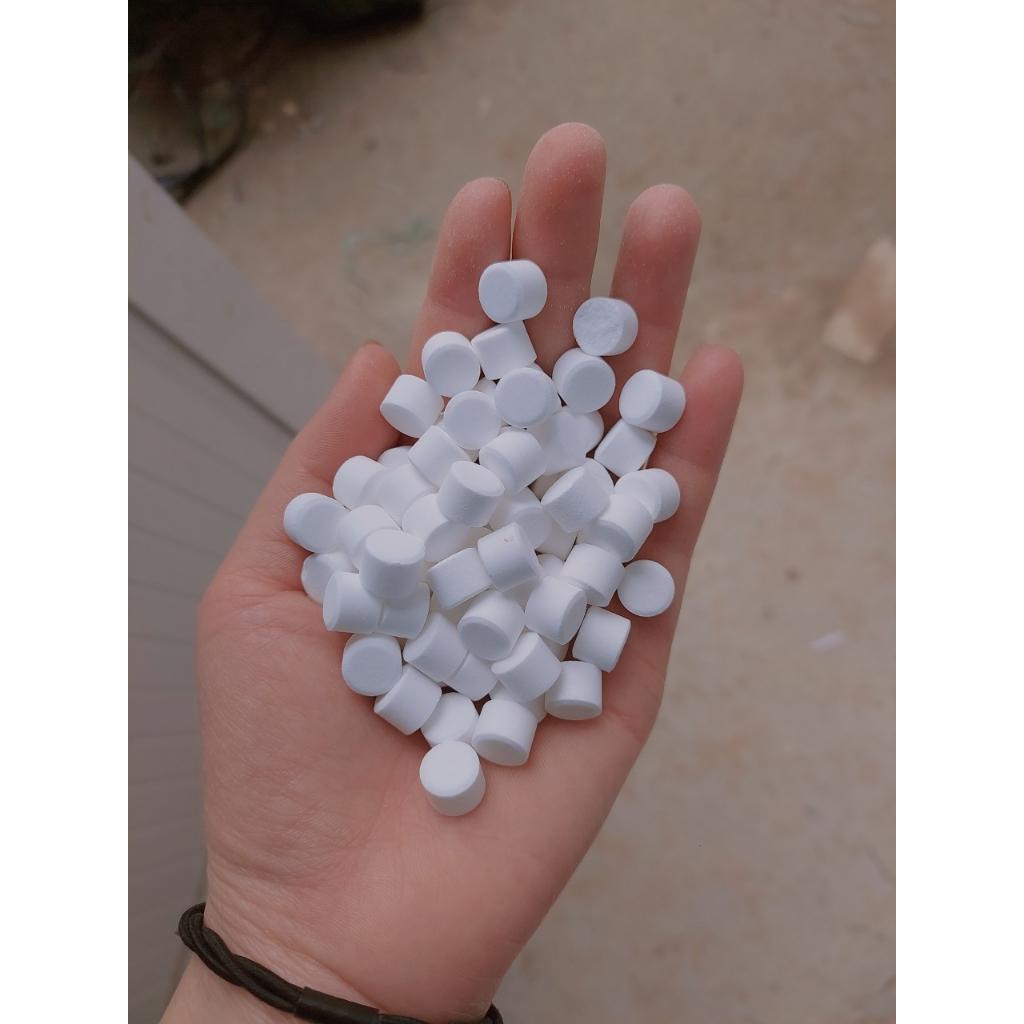 GÓI 100 VIÊN DINH DƯỠNG CHO CÂY - PHÂN BÓN TAN CHẬM DÙNG CHO HOA HỒNG HOA LAN CÂY CẢNH  VÀ TẤT CẢ CÁC LOẠI CÂY