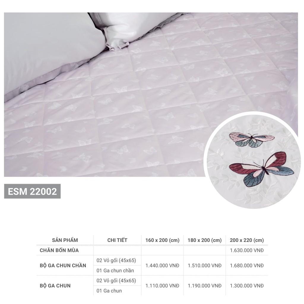 Bộ Summer Set ga chun, ga chun chần Everon ESM22002 đủ size