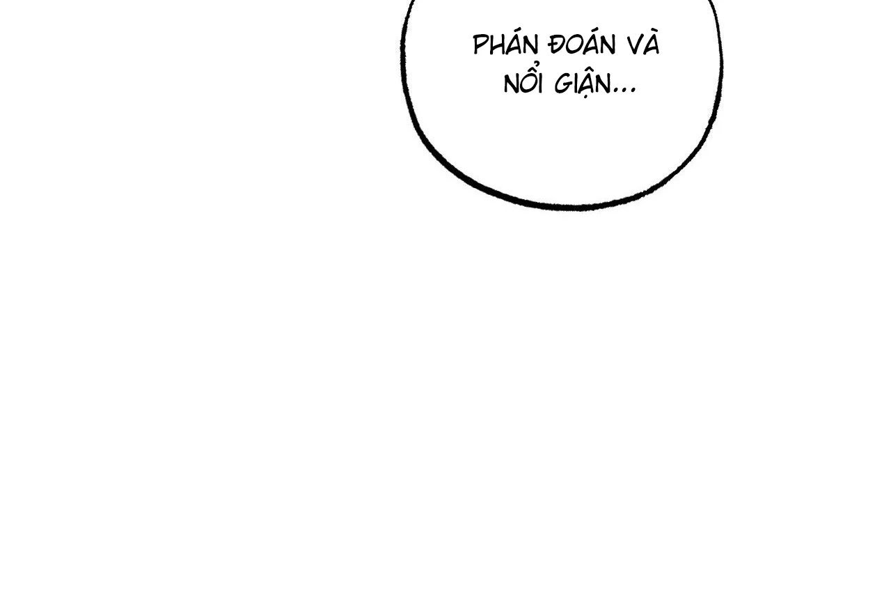 những chú thỏ của hapypy chapter 65 45