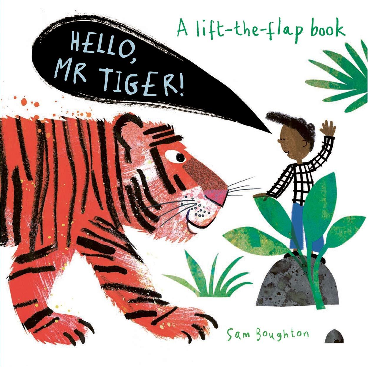 Sách ngoại văn: A Lift The Flat Book - Hello, Mr Tiger!
