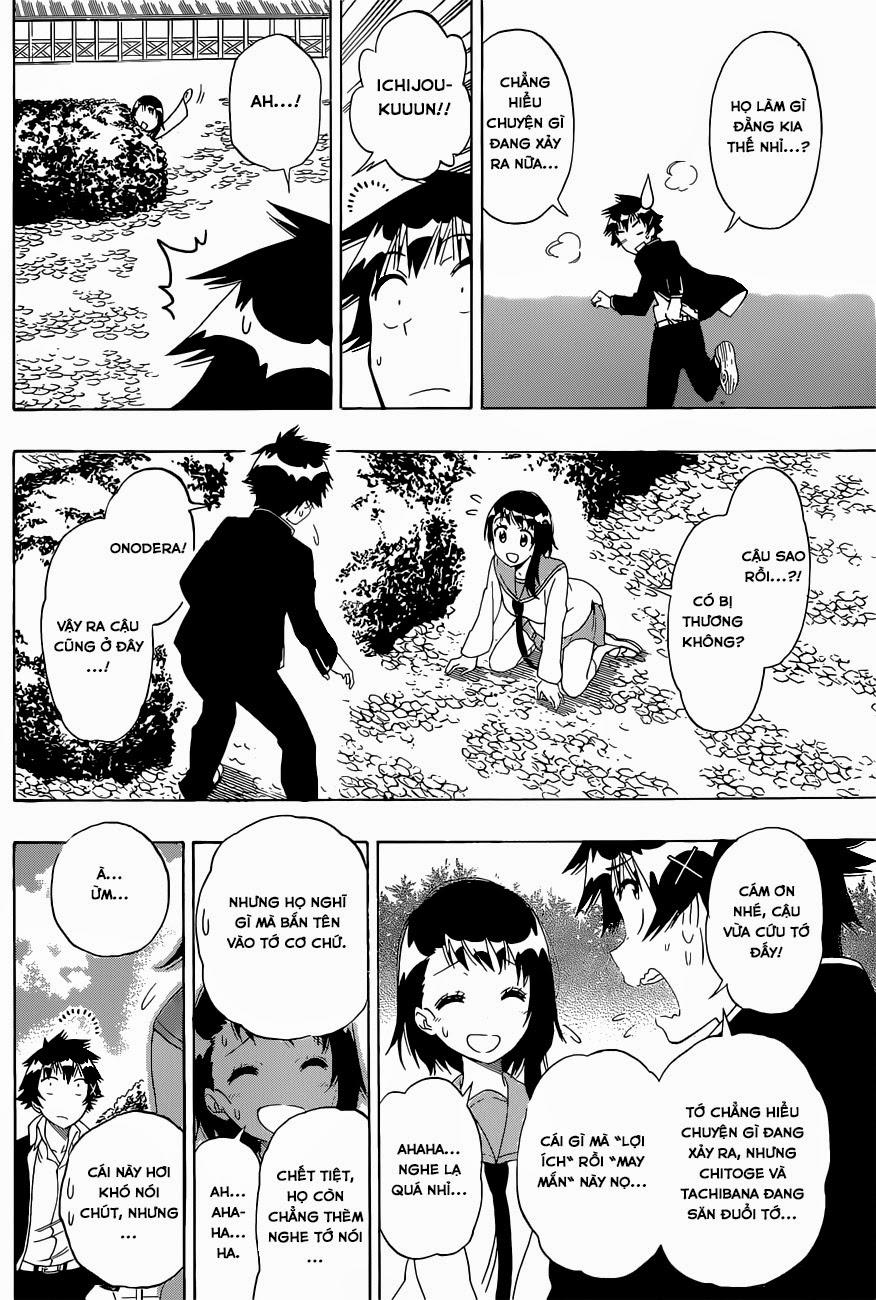 nisekoi - tình yêu giả tạo chapter 155 17