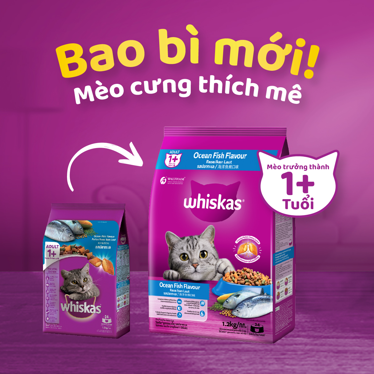 Hình ảnh Thức ăn mèo whiskas vị cá biển túi 3kg