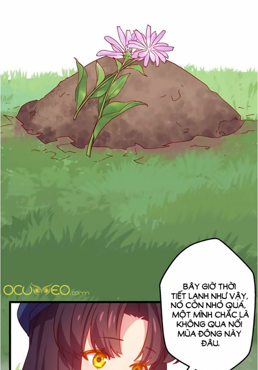 bài ca tình yêu chapter 10 12