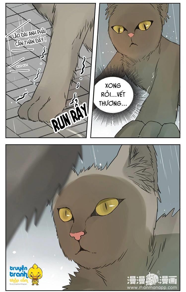 cứu mạng ! loài mèo thống trị thế giới rồi ! chapter 25 16