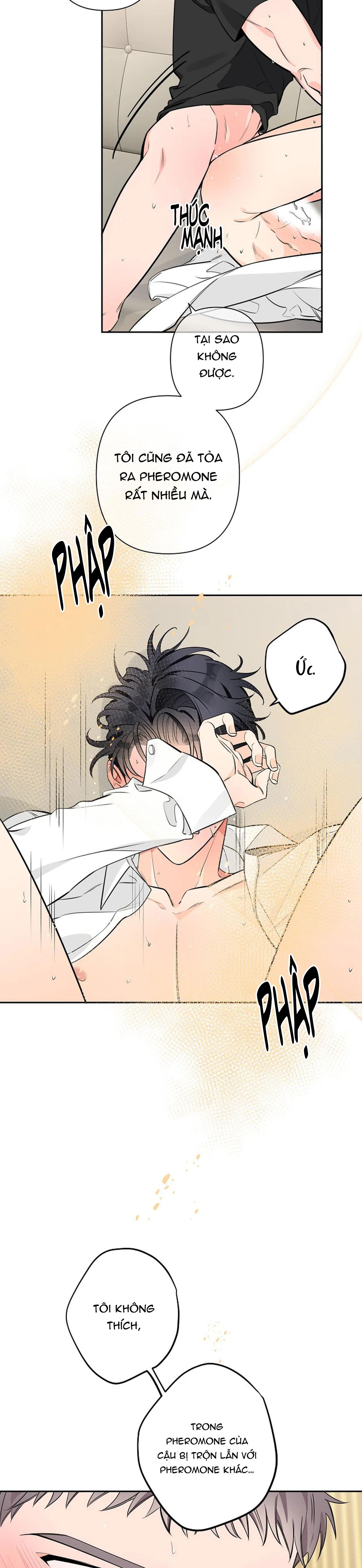 đêm dịu dàng chapter 31 29