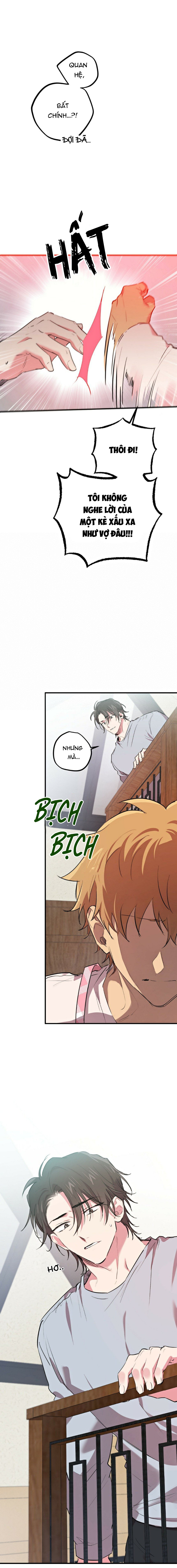 những chú thỏ của hapypy chapter 18 5