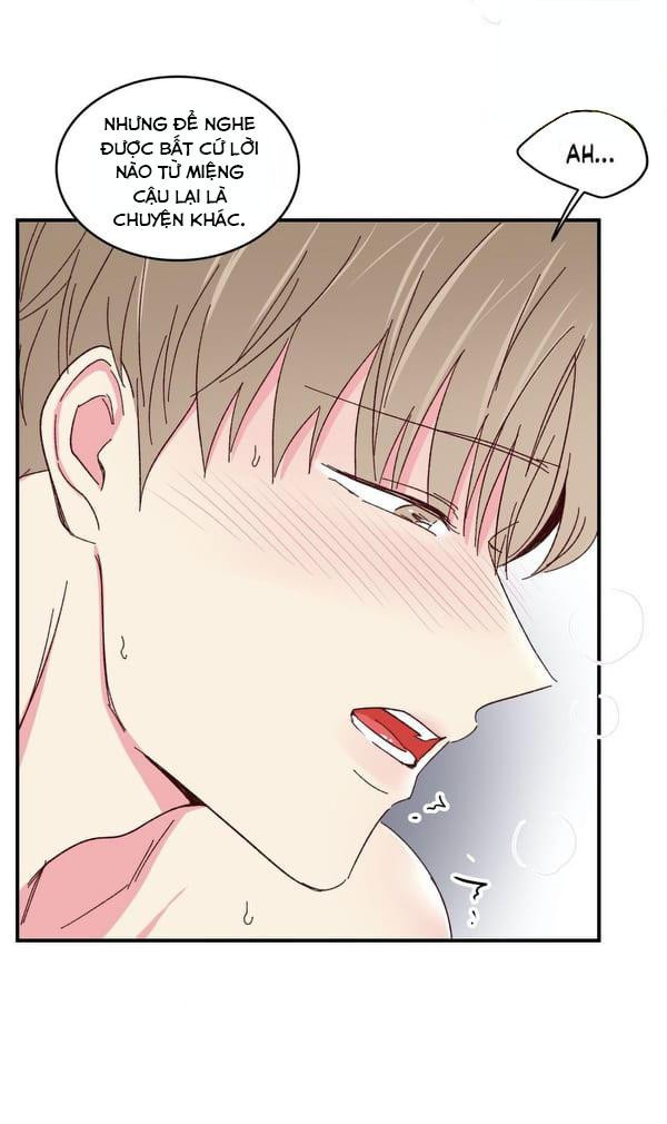 món tráng miệng của sếp tổng chapter 47 10