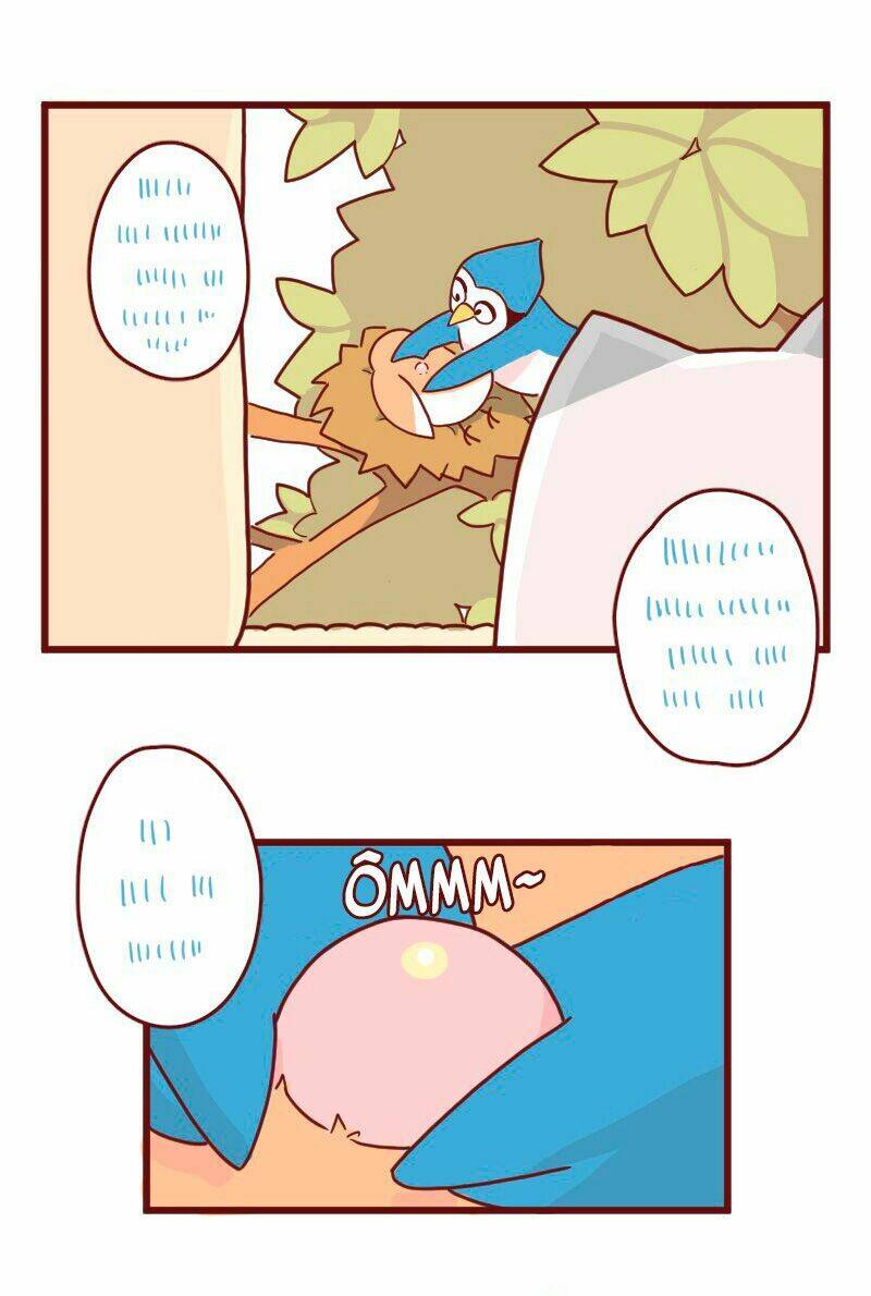 saphie: chú mèo một mắt chapter 9 2