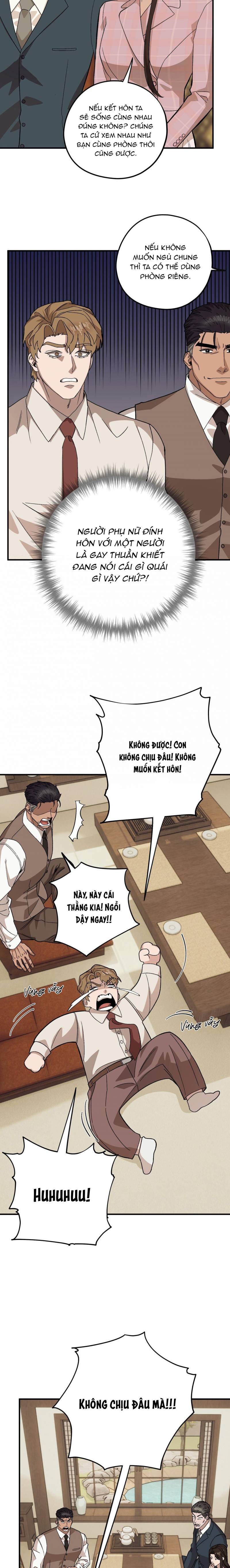 chàng dâu nhà họ kang chapter 51 14