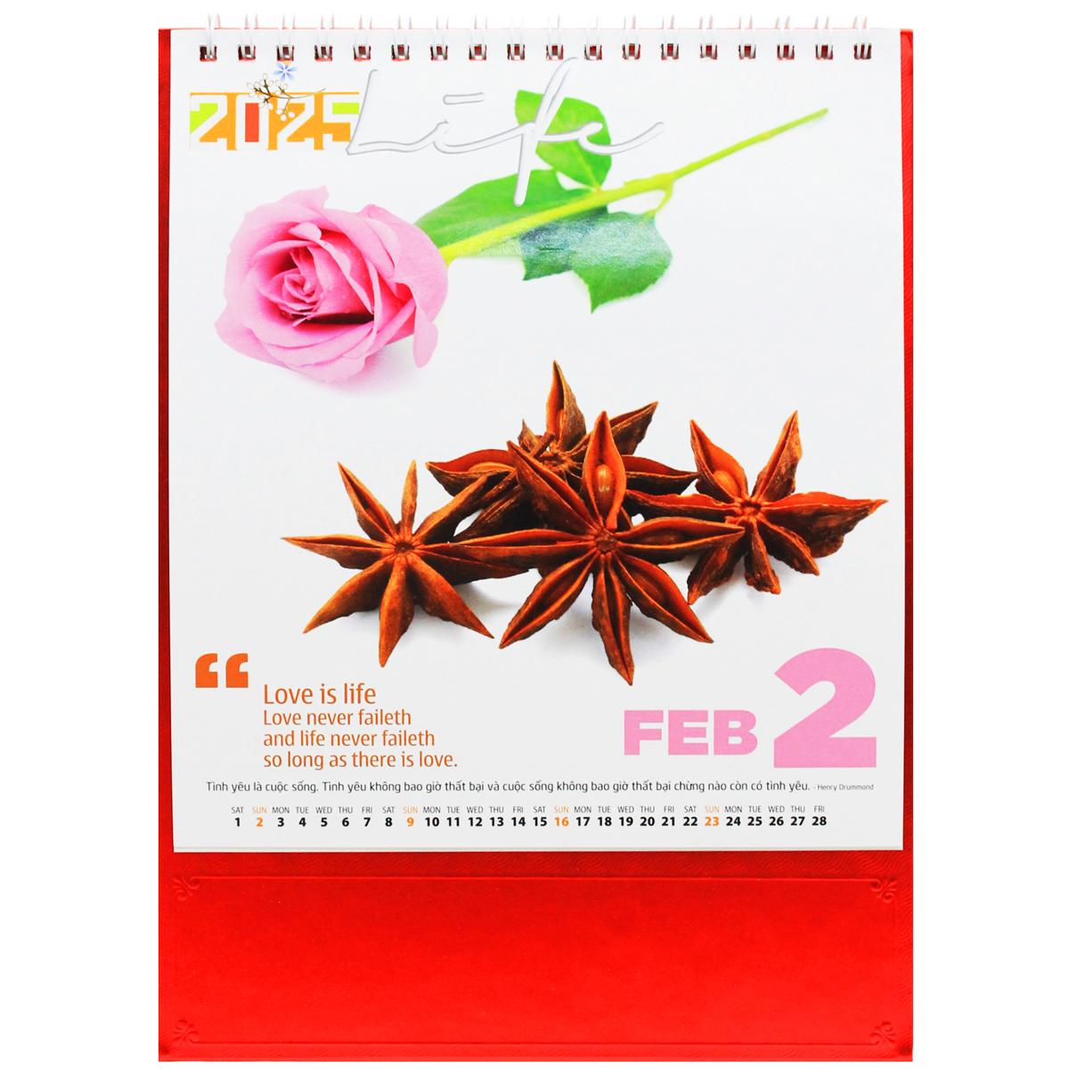 Lịch Bàn Đứng 2025 - Sống Đẹp - Văn Lang VL-LB02 - Lịch Văn Lang - Đế Màu Cam