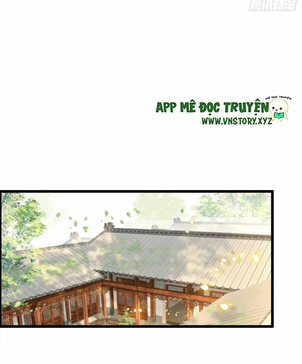 phượng hoàng vu phi chapter 111 3