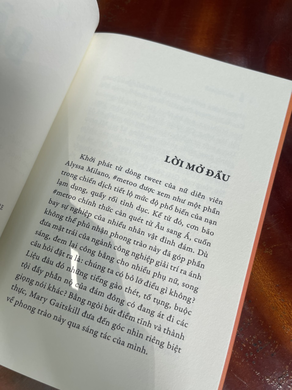 ĐÂY LÀ LẠC THÚ – Mary Gaitskill – San Hô Books - NXB Phụ Nữ