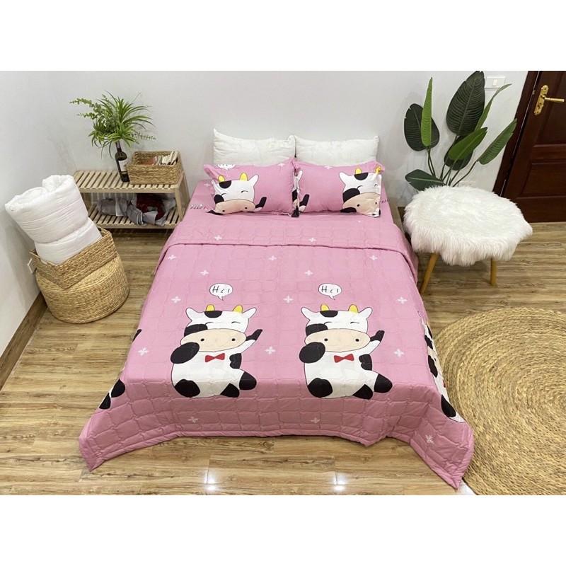 Bộ 5 Món Chăn Ga Gối Phong Cách Hàn Quốc