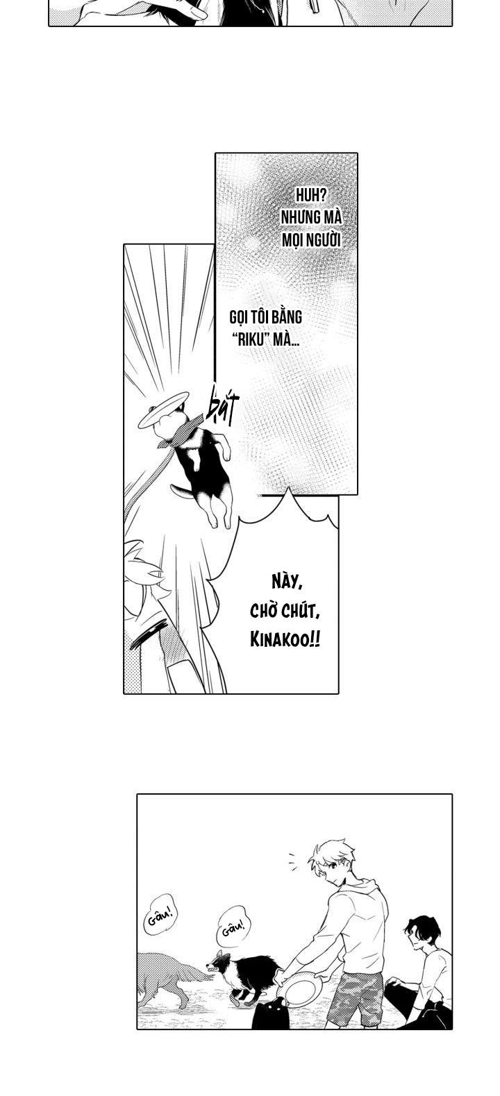 hiyoko-chan to harinezumi-kun chapter 3 22