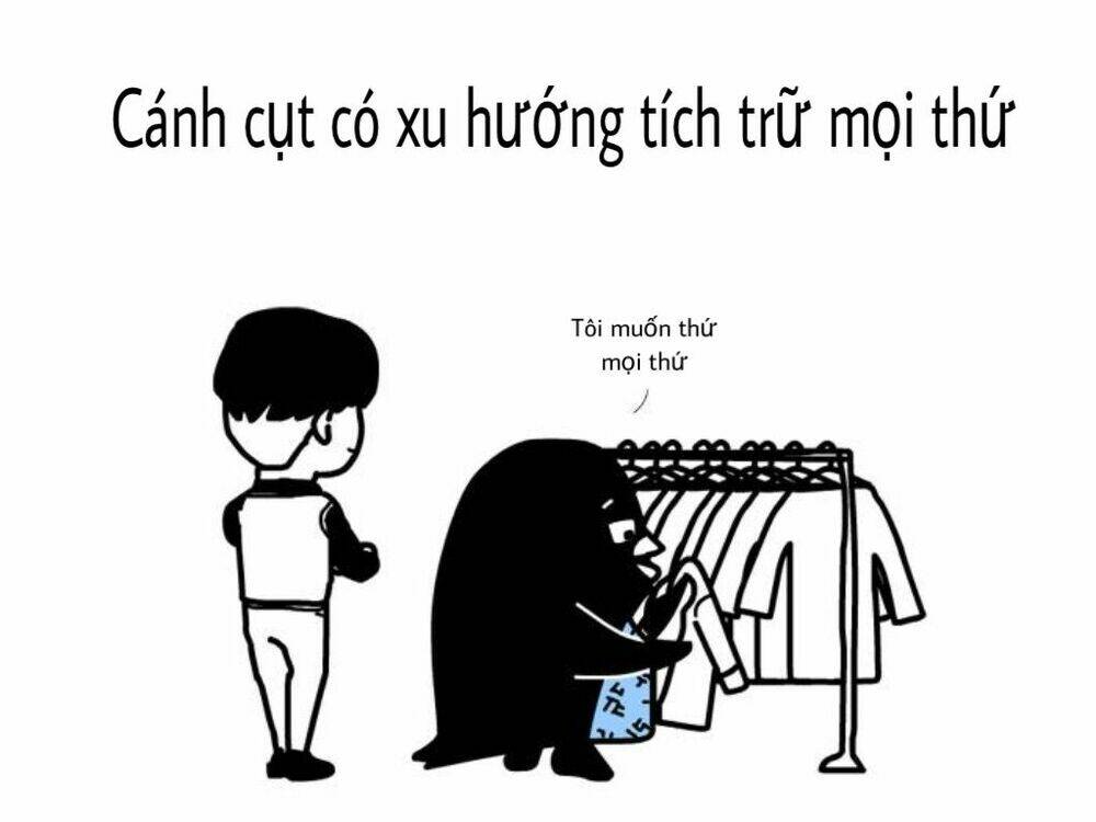 the life of the three bears chapter 1 6