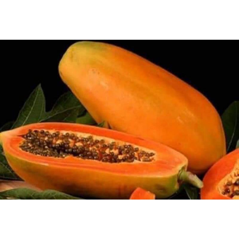 20 Hạt giống đu đủ lùn F1 Trang Nông