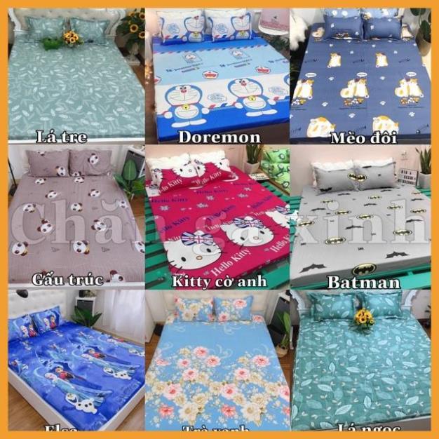 Hàng Auth-  Vỏ gối ôm Cotton Poly nhiều hoạ tiết ngộ nghĩnh