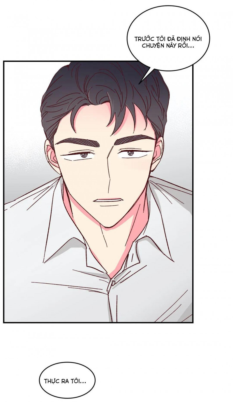 món tráng miệng của sếp tổng chapter 50 3